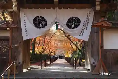 光明寺（粟生光明寺）の山門・神門