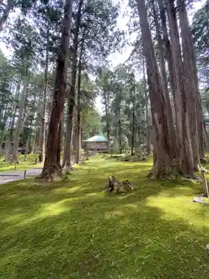 平泉寺白山神社(福井県)