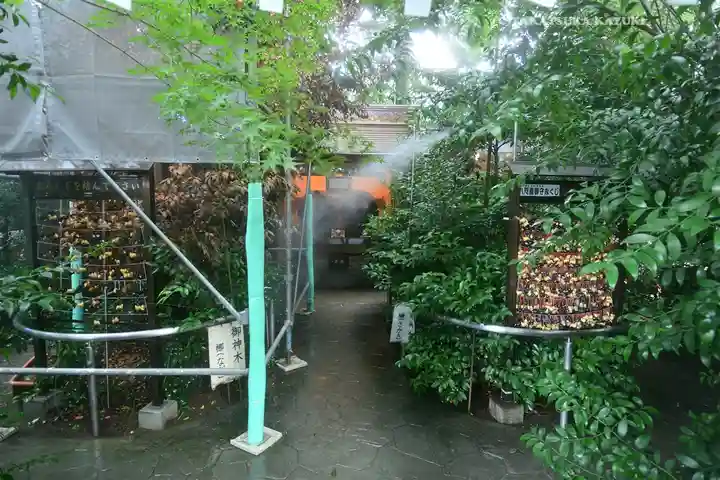 川越熊野神社(埼玉県)