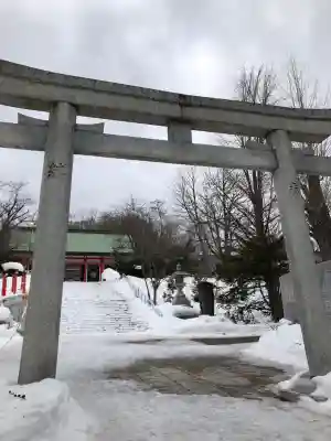 住吉神社の{uncategorized: "未分類", other: "その他", undefined: "問題あり", building: "その他建物", grave: "お墓", sacred_gate: "鳥居", guardian: "狛犬", statue: "像", buddha: "仏像", history: "歴史", nature: "自然", garden: "庭園", animal: "動物", pagoda: "塔", temizu: "手水舎", mountain_gate: "山門・神門", sanctuary: "本殿・本堂", subordinate: "末社・摂社", art: "芸術", scenery: "景色", jizo: "地蔵", ema: "絵馬", goshuin: "御朱印", omikuji: "おみくじ", items: "授与品その他", amulet: "お守り", goshuincho: "御朱印帳", eats: "食事", festival: "お祭り", votive_dance: "神楽", shichigosan: "七五三参", wedding: "結婚式", experience: "体験その他", initially: "初詣", around: "周辺", anti_infection: "感染症対策"}