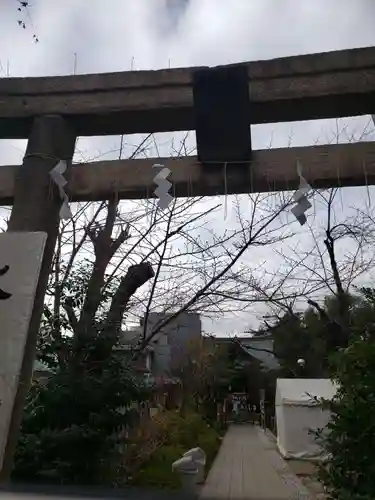 鳩森八幡神社の鳥居