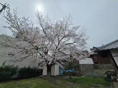 長寿寺(和歌山県)