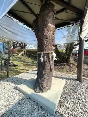 喜多地蔵尊(滋賀県)