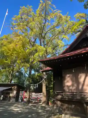 多摩川浅間神社(東京都)