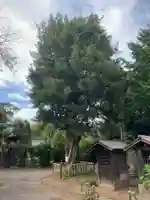 東光寺(千葉県)