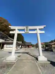 浅間神社の鳥居