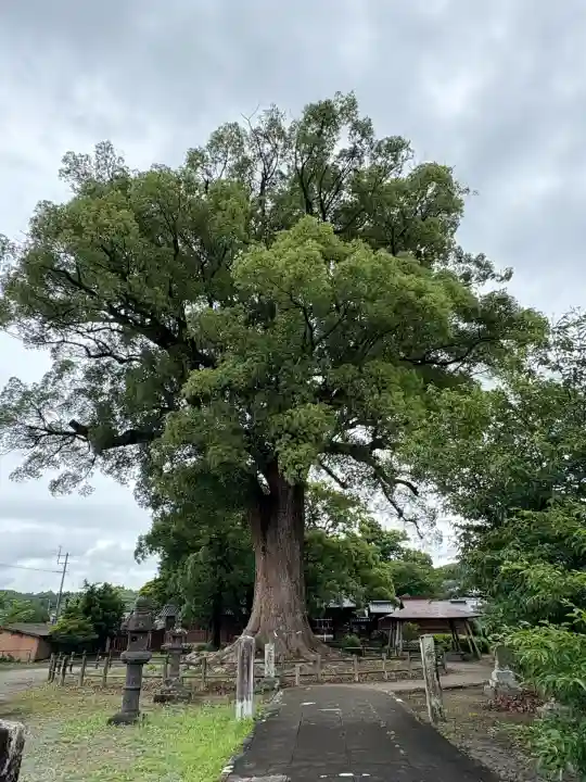 津江神社(福岡県)