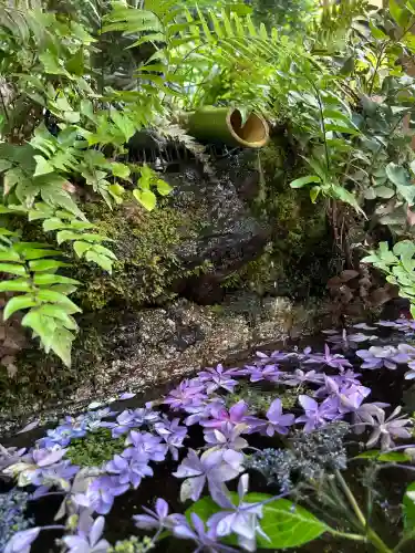 穴澤天神社(東京都)