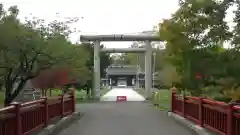 札幌護國神社の鳥居