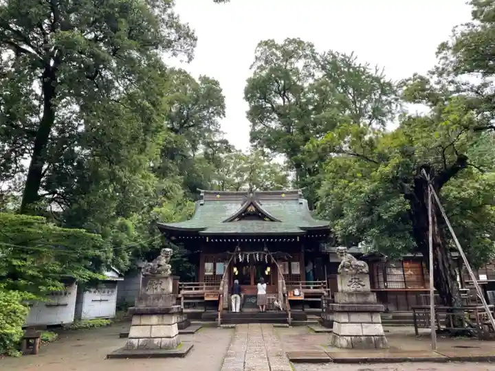 八雲氷川神社の本殿・本堂