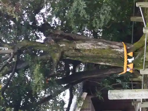 道神社(富山県)