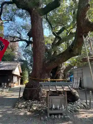 箕曲中松原神社(三重県)