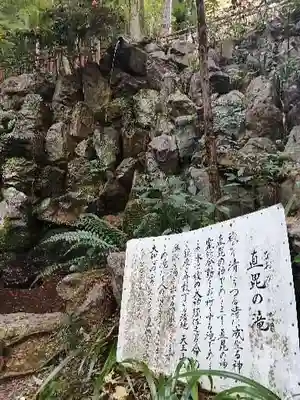 大矢田神社の自然