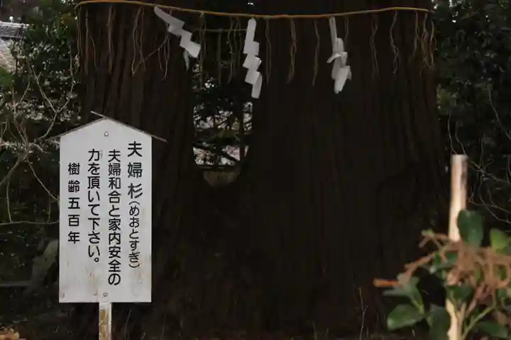 側高神社(千葉県)