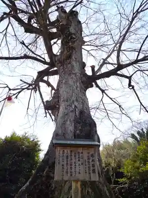 中山神社(岡山県)