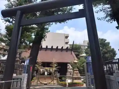 高円寺氷川神社の鳥居