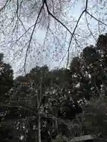 大宮温泉神社(栃木県)