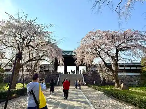 東郷寺(東京都)