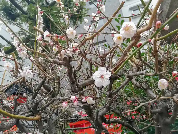 平河天満宮の自然