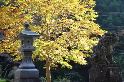 養澤神社(東京都)
