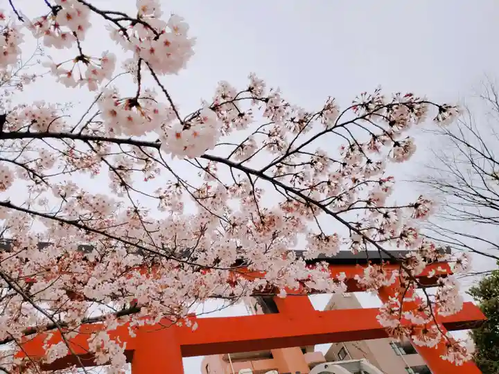 亀戸天神社の自然