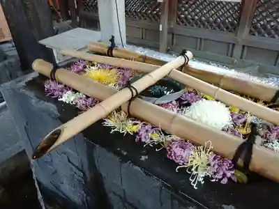 湯島天満宮の手水舎