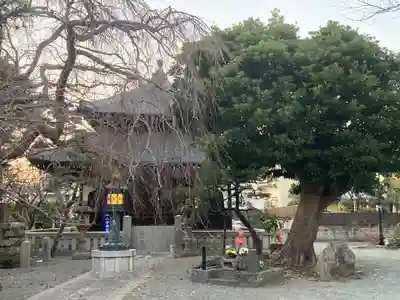 本覚寺(神奈川県)