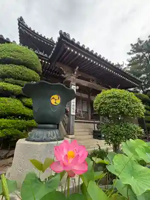 素盞嗚神社(兵庫県)