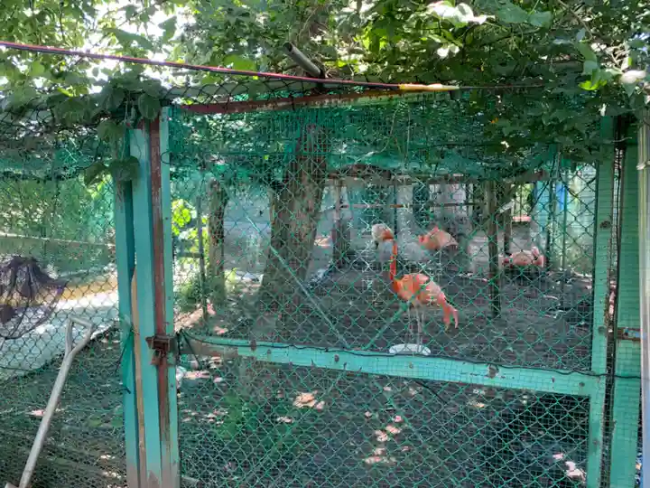 瀧水寺(千葉県)