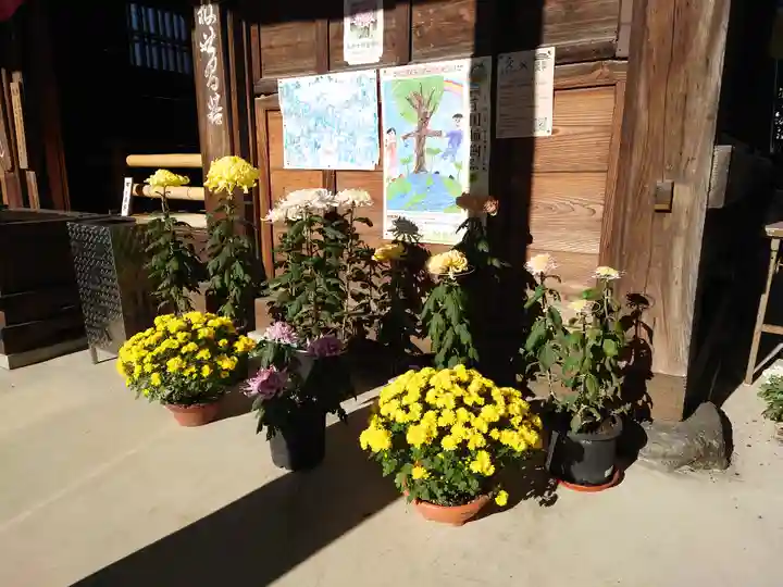 今宮坊(埼玉県)