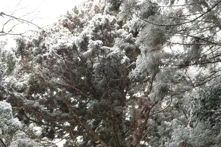 帳附神社の自然