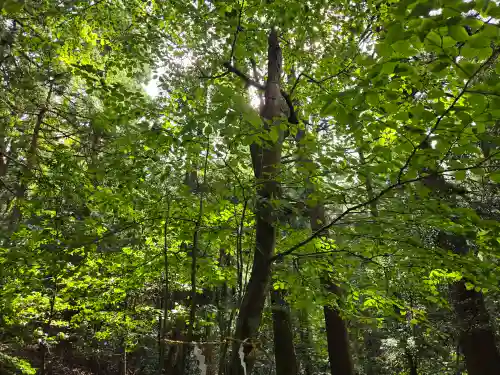 大塩八幡宮(福井県)