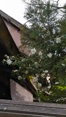下御霊神社(京都府)