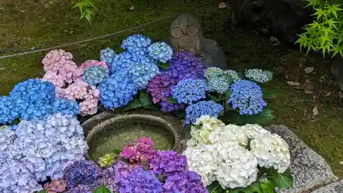 勝林寺(京都府)