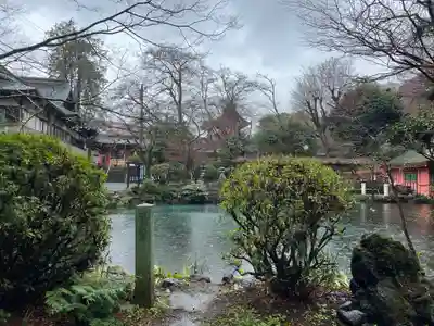 富士山本宮浅間大社(静岡県)