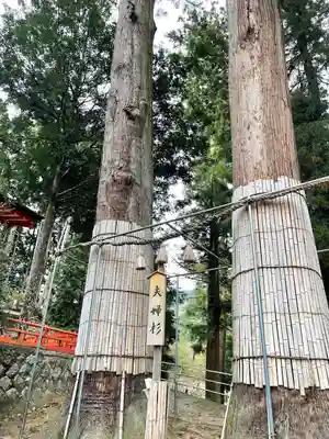 仲山神社（美杉町八知）(三重県)