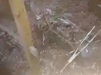 手接足尾神社のその他建物