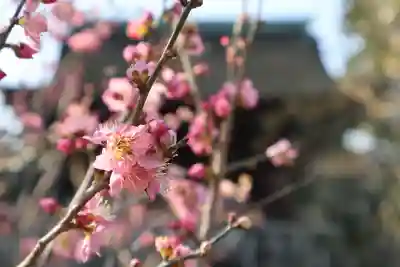 道明寺天満宮の{uncategorized: "未分類", other: "その他", undefined: "問題あり", building: "その他建物", grave: "お墓", sacred_gate: "鳥居", guardian: "狛犬", statue: "像", buddha: "仏像", history: "歴史", nature: "自然", garden: "庭園", animal: "動物", pagoda: "塔", temizu: "手水舎", mountain_gate: "山門・神門", sanctuary: "本殿・本堂", subordinate: "末社・摂社", art: "芸術", scenery: "景色", jizo: "地蔵", ema: "絵馬", goshuin: "御朱印", omikuji: "おみくじ", items: "授与品その他", amulet: "お守り", goshuincho: "御朱印帳", eats: "食事", festival: "お祭り", votive_dance: "神楽", shichigosan: "七五三参", wedding: "結婚式", experience: "体験その他", initially: "初詣", around: "周辺", anti_infection: "感染症対策"}