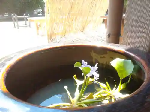 橘神社の手水