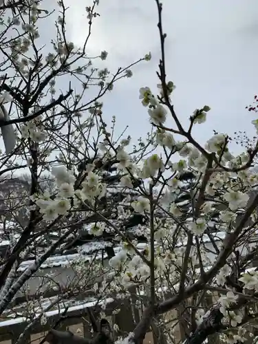 赤嵜神社の自然