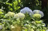 国宝 大法寺(長野県)