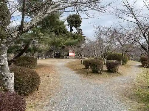 大覚寺(京都府)