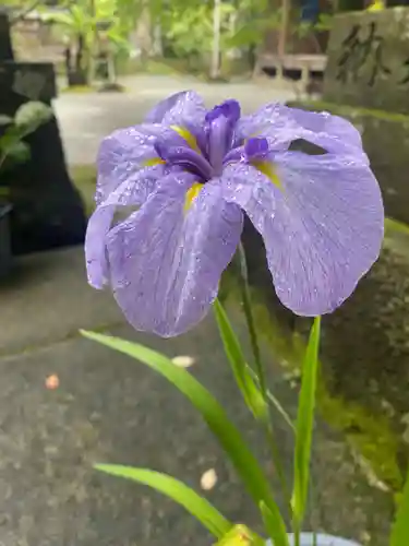 彦嶽宮(熊本県)