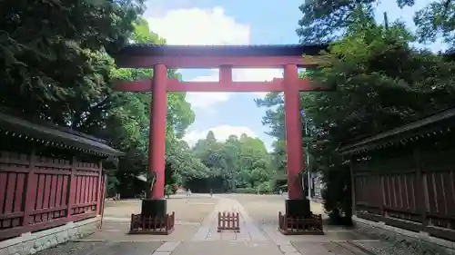 武蔵一宮氷川神社の鳥居