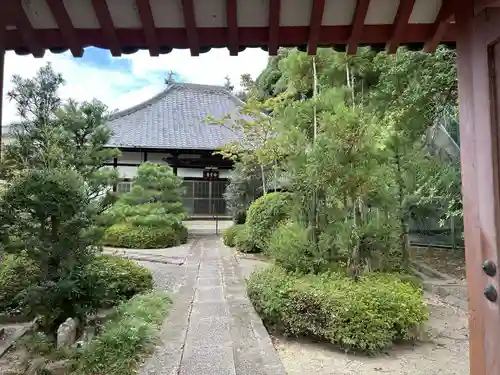 白雲寺(大阪府)