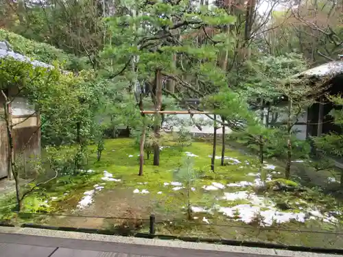 高桐院(京都府)