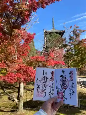 仁和寺(京都府)