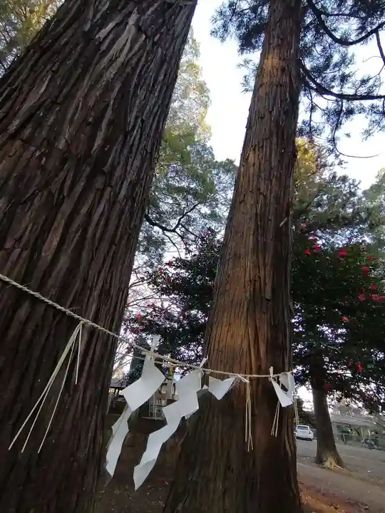 東蕗田天満社の自然