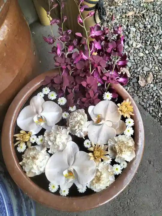 多賀神社の手水舎