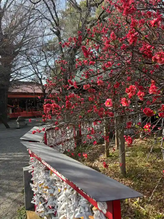 冠稲荷神社の{uncategorized: "未分類", other: "その他", undefined: "問題あり", building: "その他建物", grave: "お墓", sacred_gate: "鳥居", guardian: "狛犬", statue: "像", buddha: "仏像", history: "歴史", nature: "自然", garden: "庭園", animal: "動物", pagoda: "塔", temizu: "手水舎", mountain_gate: "山門・神門", sanctuary: "本殿・本堂", subordinate: "末社・摂社", art: "芸術", scenery: "景色", jizo: "地蔵", ema: "絵馬", goshuin: "御朱印", omikuji: "おみくじ", items: "授与品その他", amulet: "お守り", goshuincho: "御朱印帳", eats: "食事", festival: "お祭り", votive_dance: "神楽", shichigosan: "七五三参", wedding: "結婚式", experience: "体験その他", initially: "初詣", around: "周辺", anti_infection: "感染症対策"}
